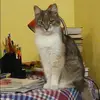 Отзыв от Нелли Масленникова
